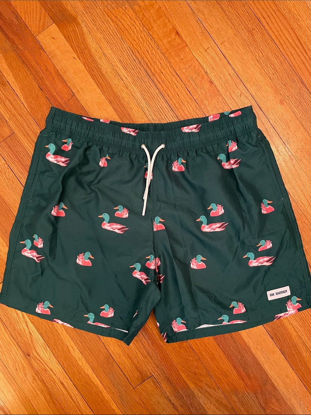 MR SUMMER Duck Print Whimsical Fun Pool Beach Coastal Cottagecore Swim Trunks